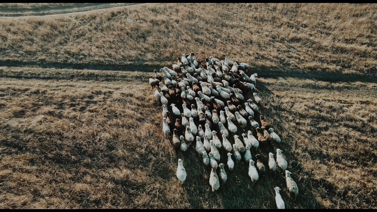Имиджевое видео. Видеограф в Москве Николай Слетов