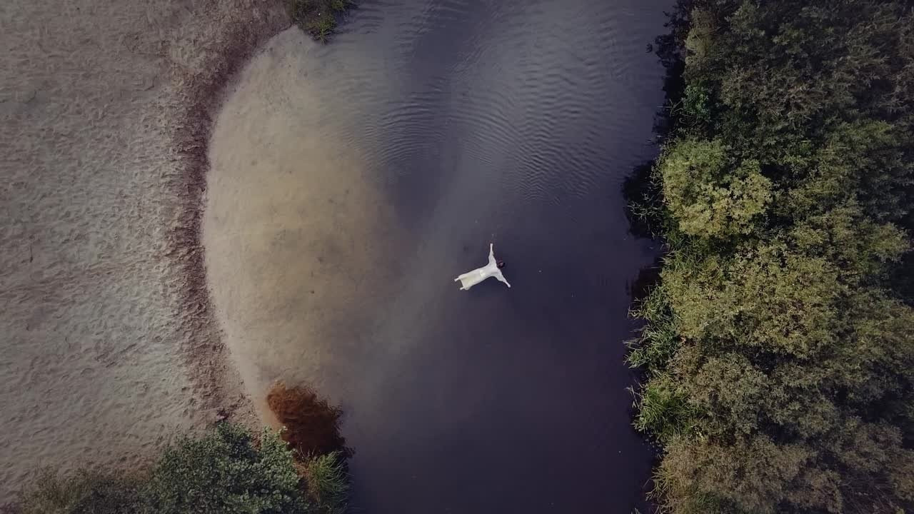 Имиджевое видео. Видеограф в Москве Николай Слетов