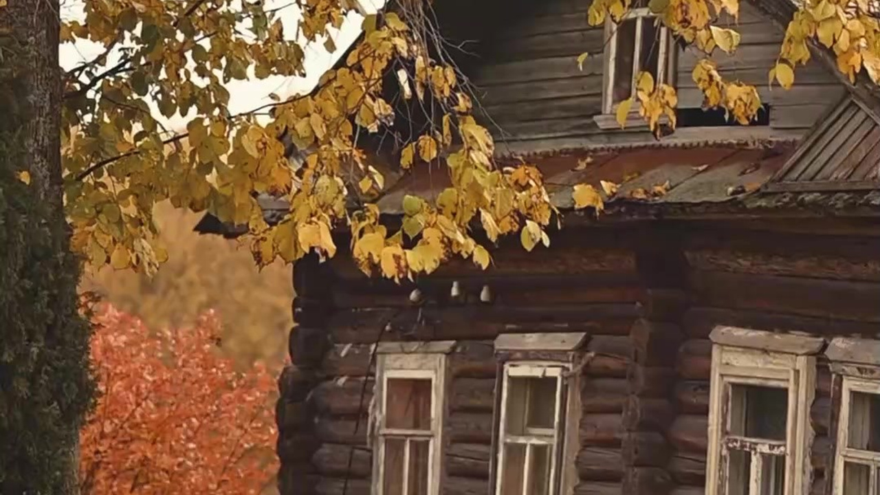 Видео. Детский и семейный фотограф
