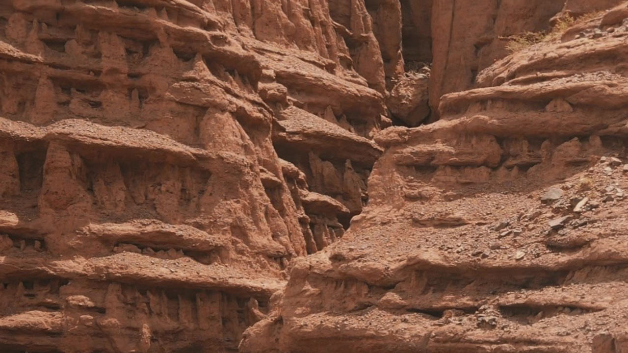 Видео. Детский и семейный фотограф