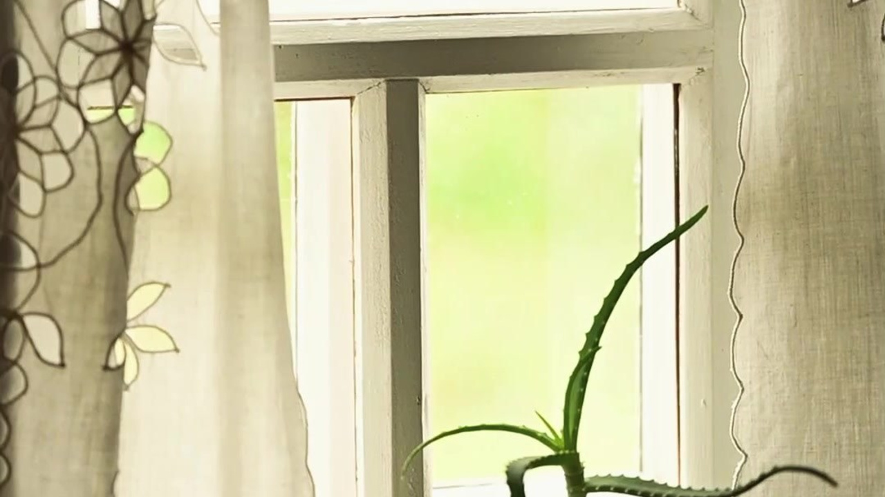 Видео. Детский и семейный фотограф