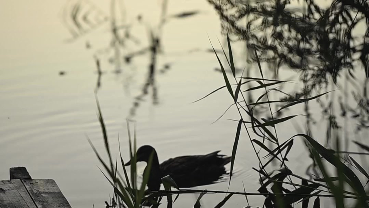 Ольга. Детский и семейный фотограф