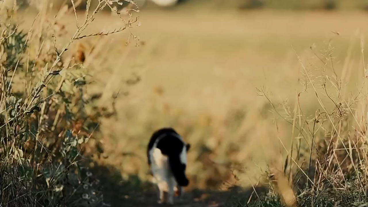 Ольга. Детский и семейный фотограф