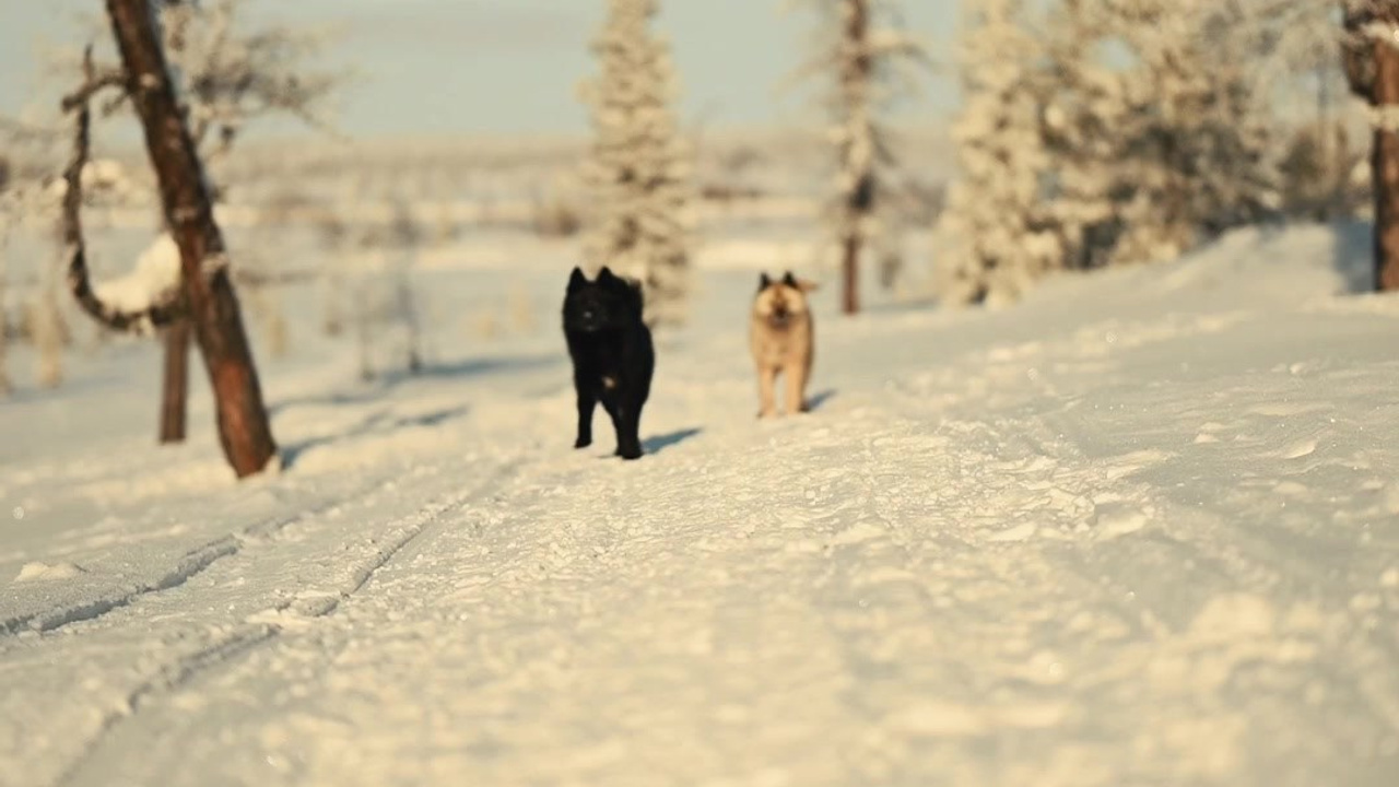 Видео. Детский и семейный фотограф