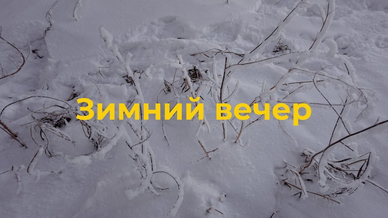 Мои видео. Kuznetsov | Фотограф в Красноярске