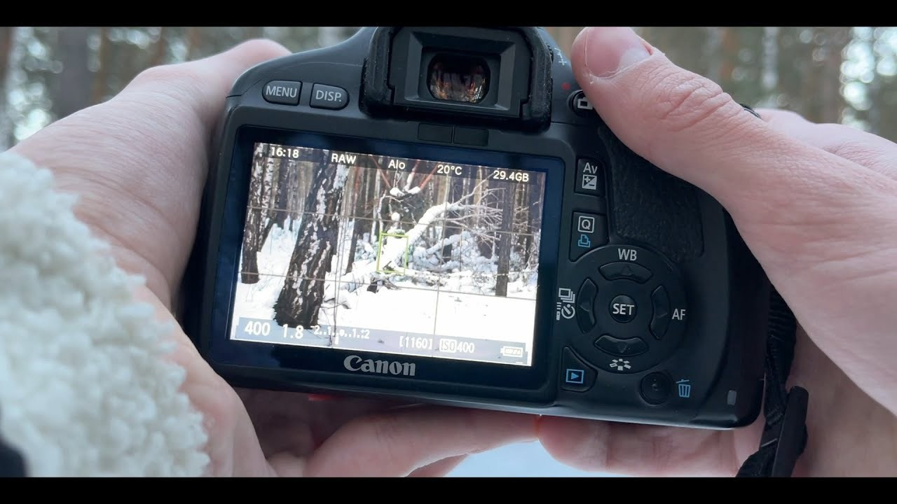 Мои видео. Kuznetsov | Фотограф в Красноярске