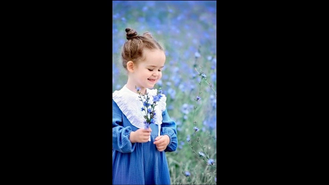 Цикорий. Главная