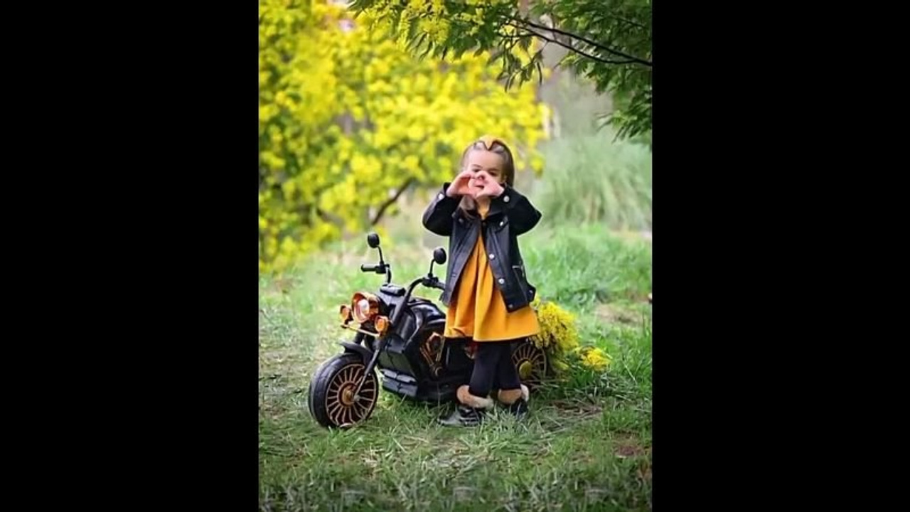 Мимоза. Главная