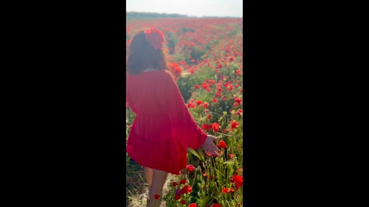 Маки. Главная