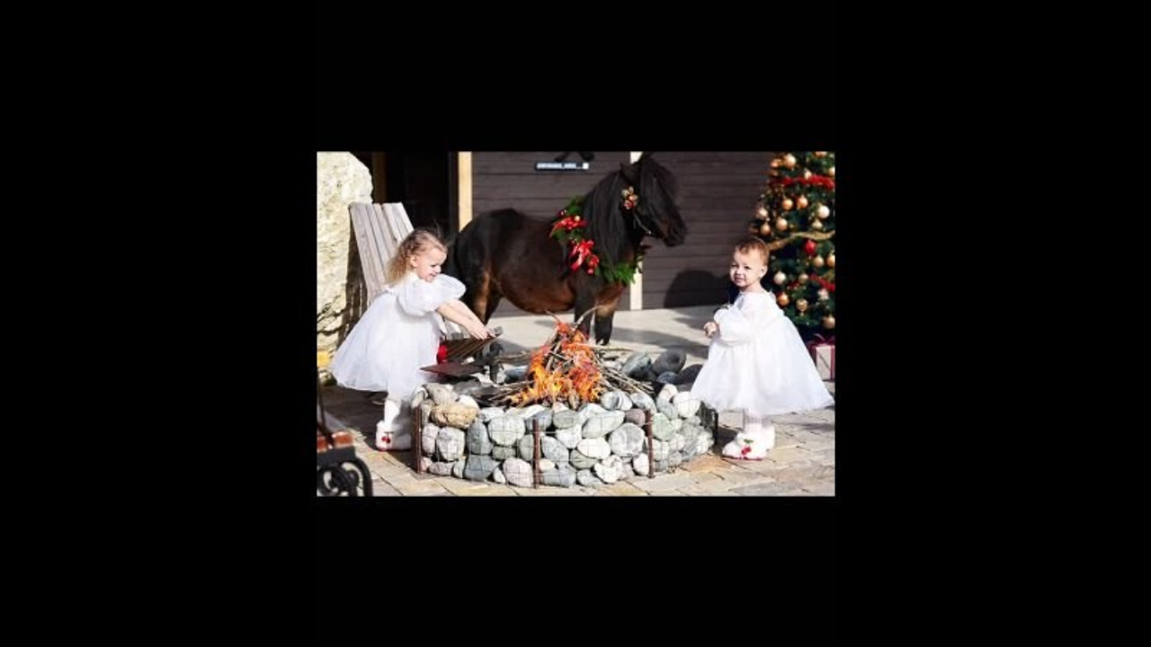 Лошади. Главная