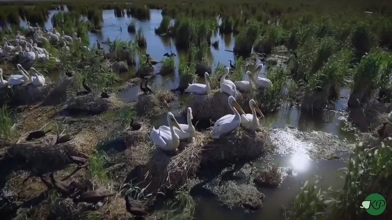 Корпоративные видео. Фотограф и видеограф в Москве Александр Вандышев