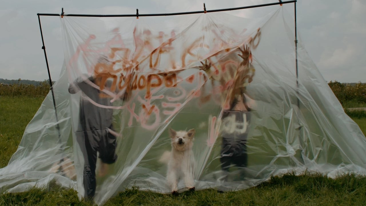 ПОРТФОЛИО. CINEMATICA | Свадебное видео