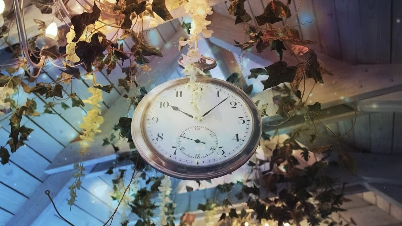 Репортажи. Свадебный, репортажный видеограф Москва и Санкт-Петербург