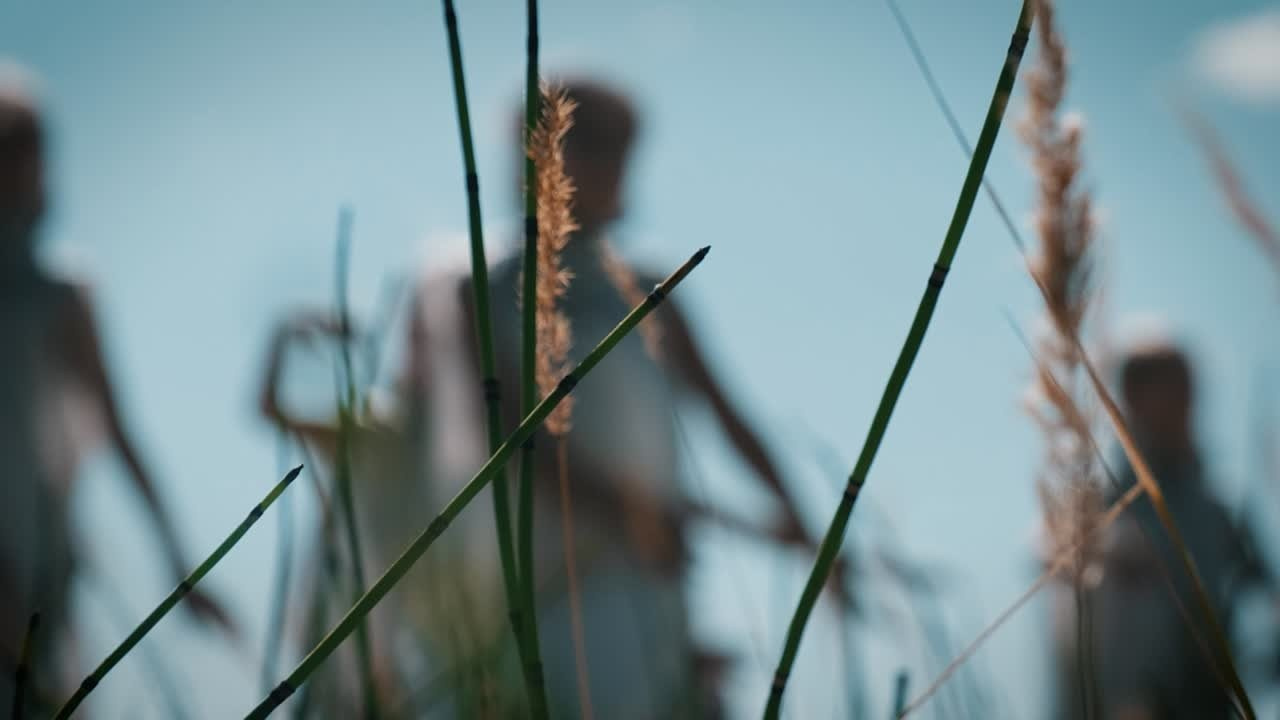 Клипы. Видеограф Новосибирск Сибирь Алтай. Илья Натворил