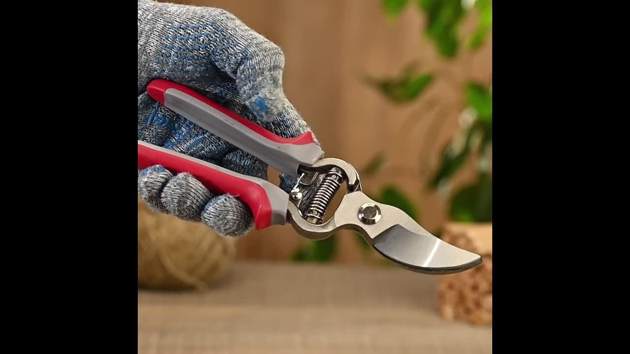 Видео и анимации | PhotoM Studio