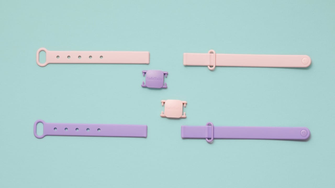 Pet Video Production | Dog and Animal Videos. Dog Photographer Anna Averianova | Art & Commercial Pet Photography