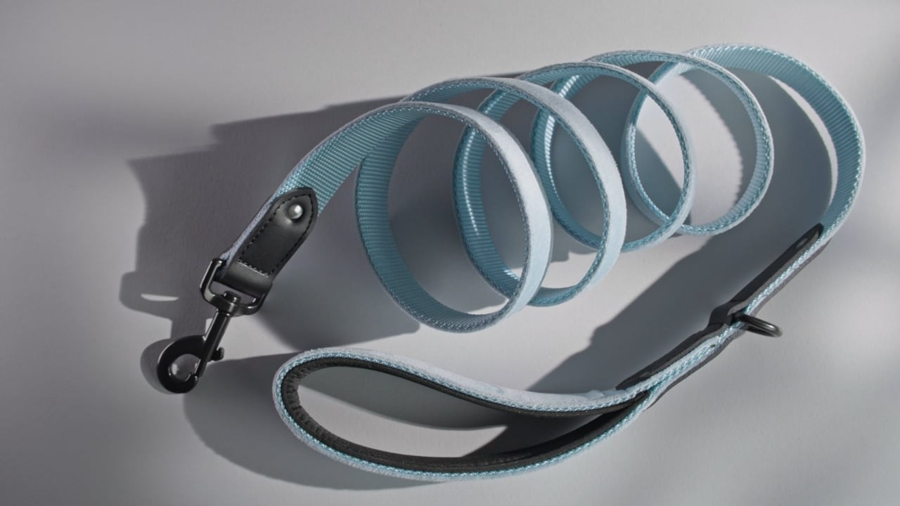 Pet Video Production | Dog and Animal Videos. Dog Photographer Anna Averianova | Art & Commercial Pet Photography