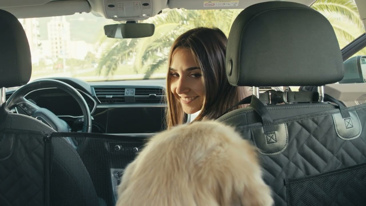 VIDEO. Dog photographer Averianova Anna — Art photography of dogs