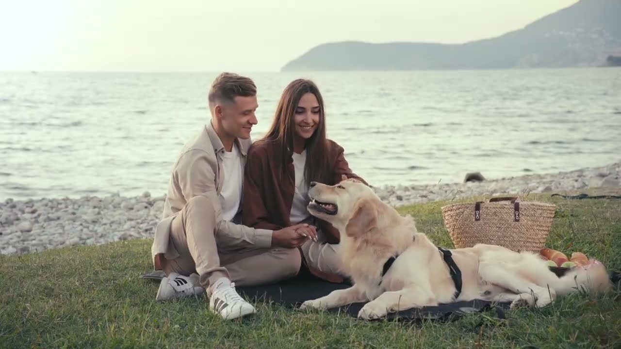 Pet Video Production | Dog and Animal Videos. Dog Photographer Anna Averianova | Art & Commercial Pet Photography