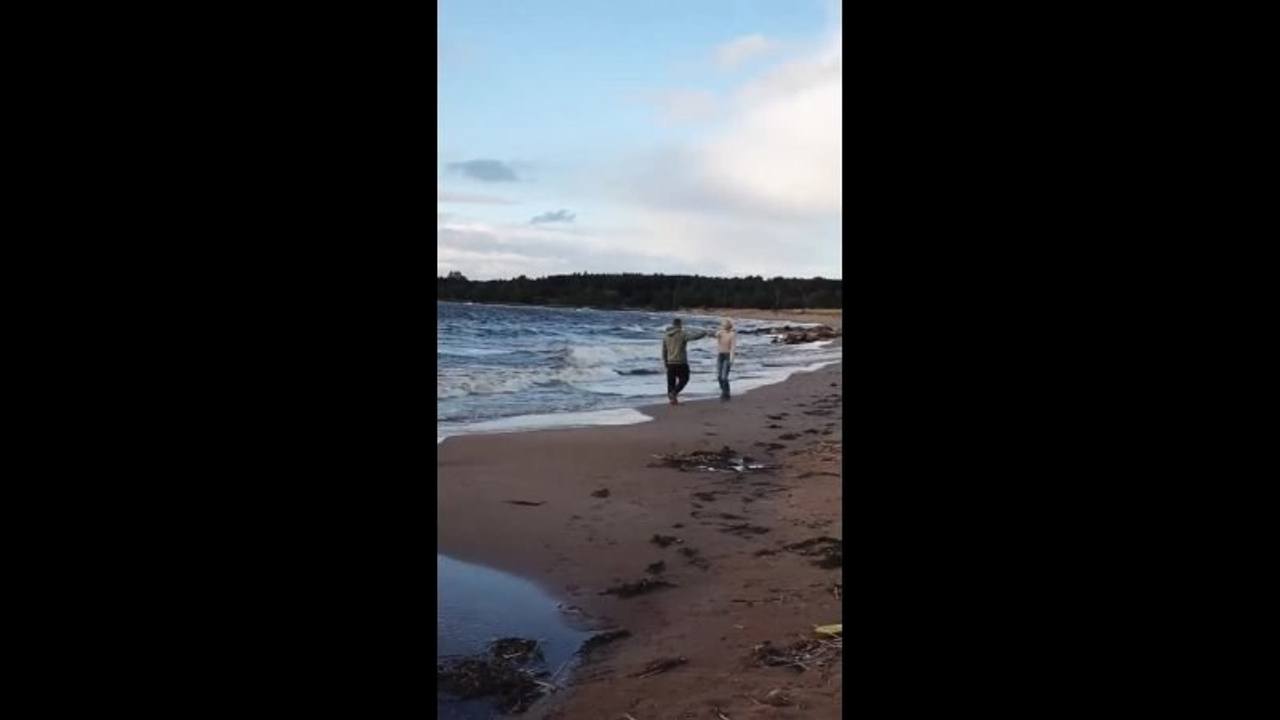 Семейное кино. Семейный, детский и индивидуальный фотограф в Санкт-Петербурге Кремнев