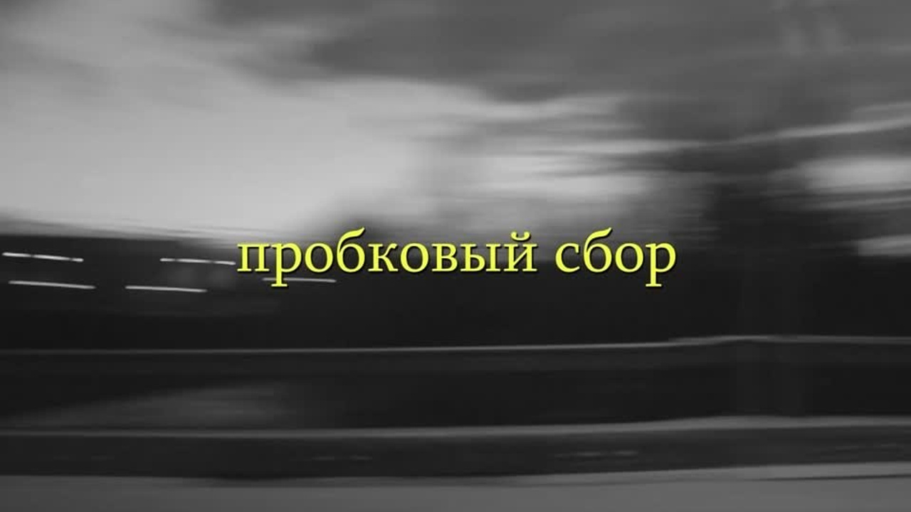Видео. Варвара Бабёнышева
