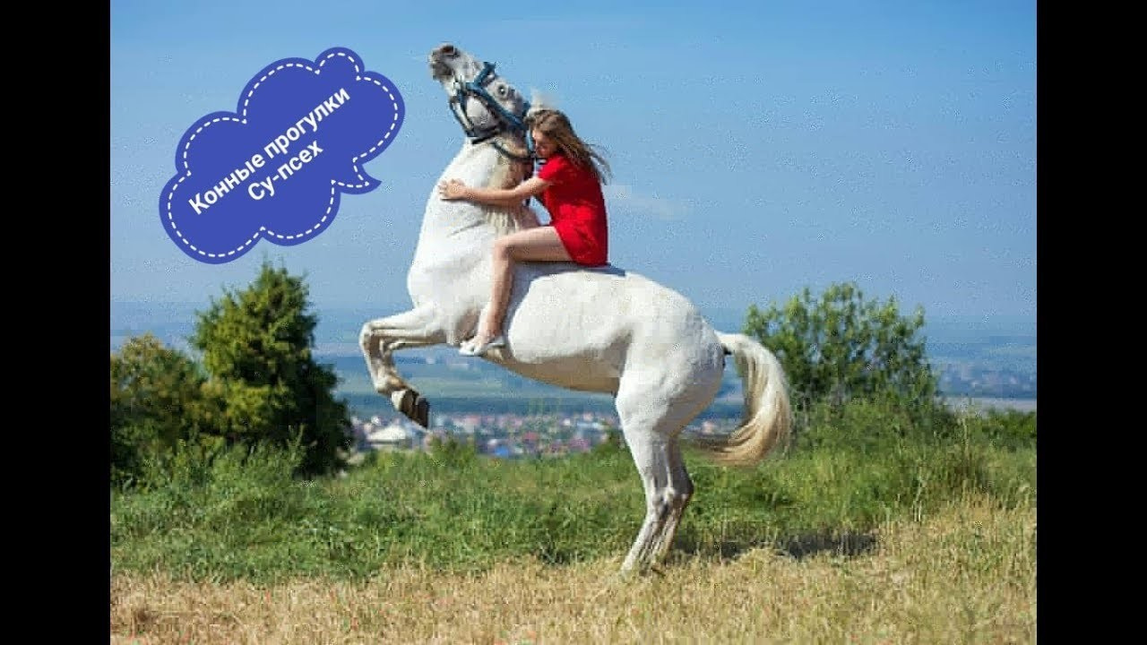 Видеограф Анапа. Фотограф в Анапе Елена Нор