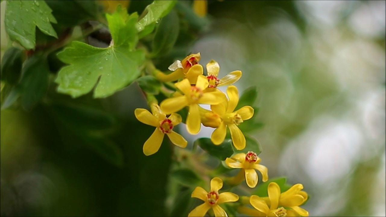 Видеограф Анапа. Фотограф в Анапе Елена Нор