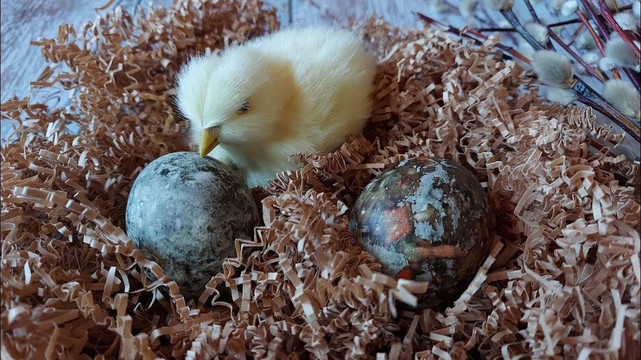 Лучшие рецепты. Легко и просто!. Ваш личный фотограф Марина Волкова