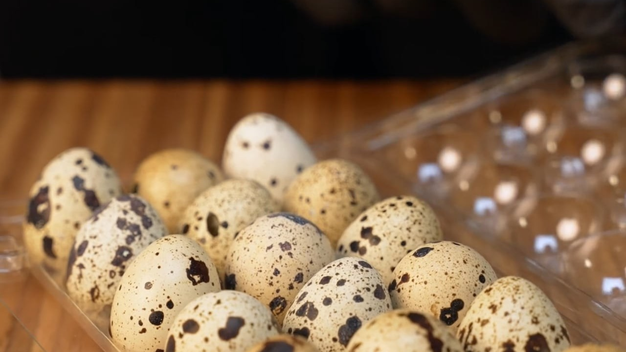 Видеосъемка для кафе, баров и ресторанов в Санкт-Петербурге. Видеограф в Санкт-Петербурге. Интерьерная съемка