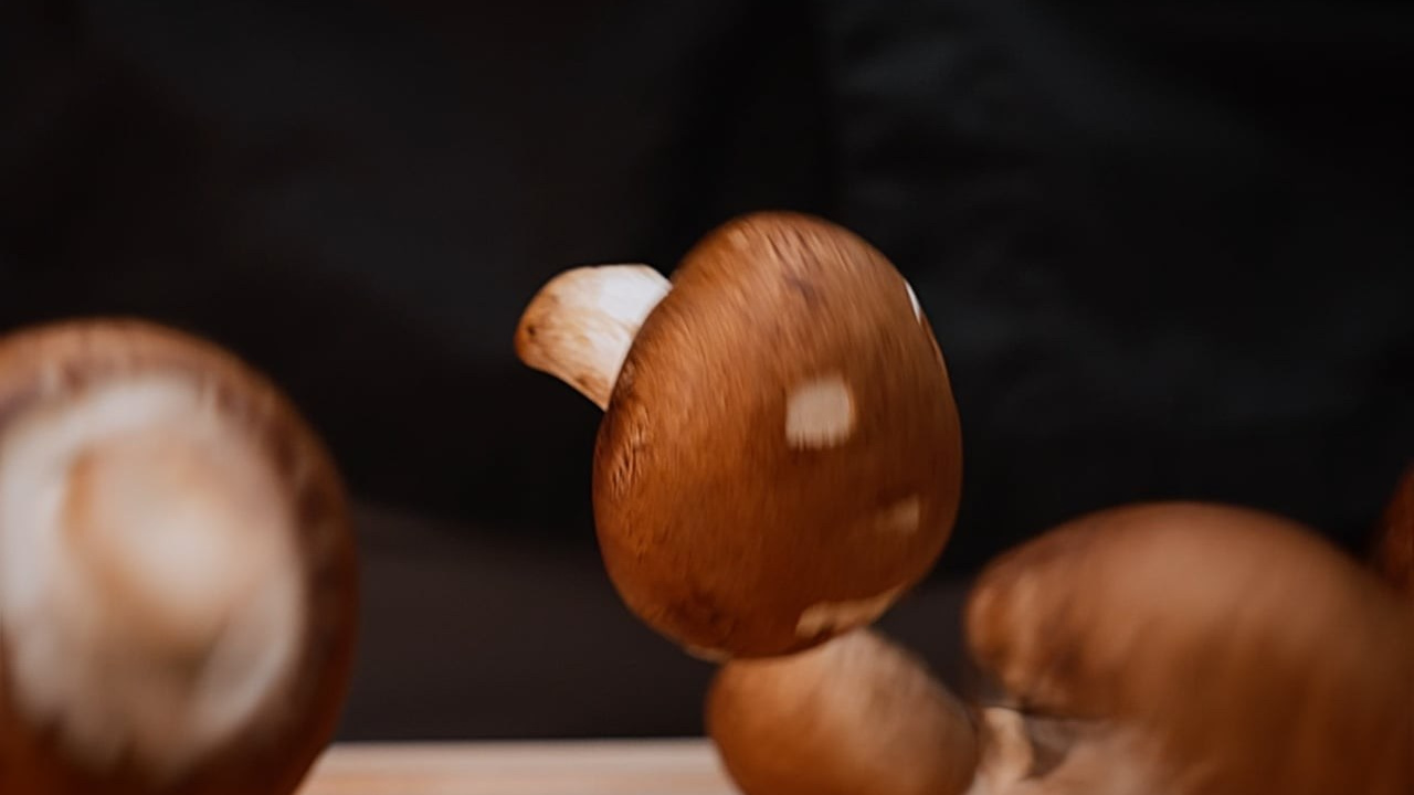 Видеосъемка для кафе, баров и ресторанов в Санкт-Петербурге. Видеограф в Санкт-Петербурге. Интерьерная съемка