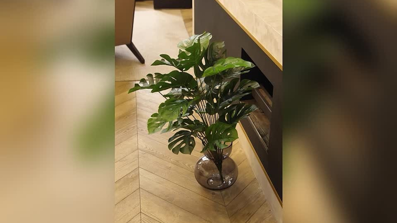 Для маркетплейсов. Предметная фото и видеосъемка в Краснодаре | Профессиональные продающие фото