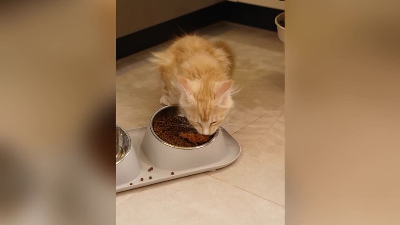 Для маркетплейсов. Предметная фото и видеосъемка в Краснодаре | Профессиональные продающие фото