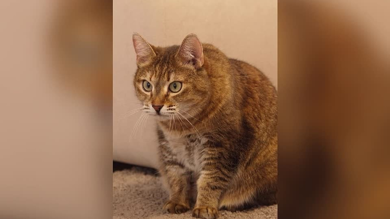 Для маркетплейсов. Предметная фото и видеосъемка в Краснодаре | Профессиональные продающие фото