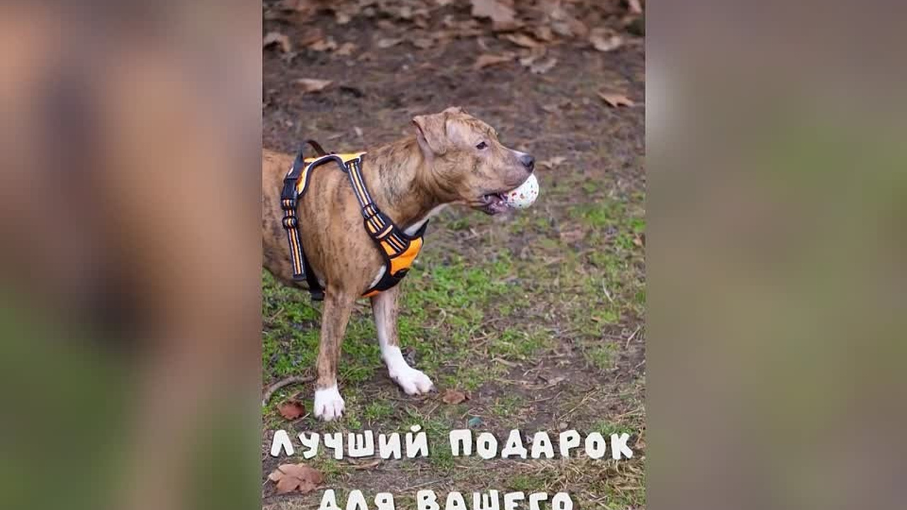 Для маркетплейсов. Предметная фото и видеосъемка в Краснодаре | Профессиональные продающие фото