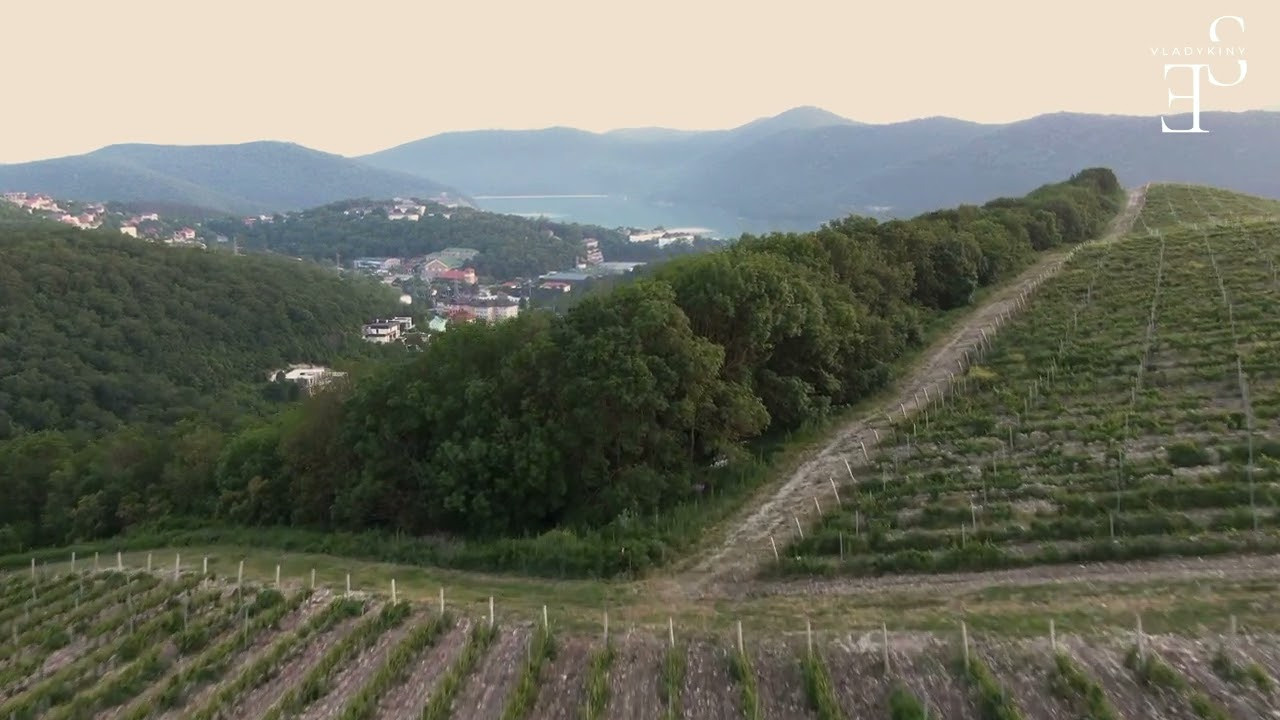Абрау. Семейный фотограф в Анапе Светлана Тернопол