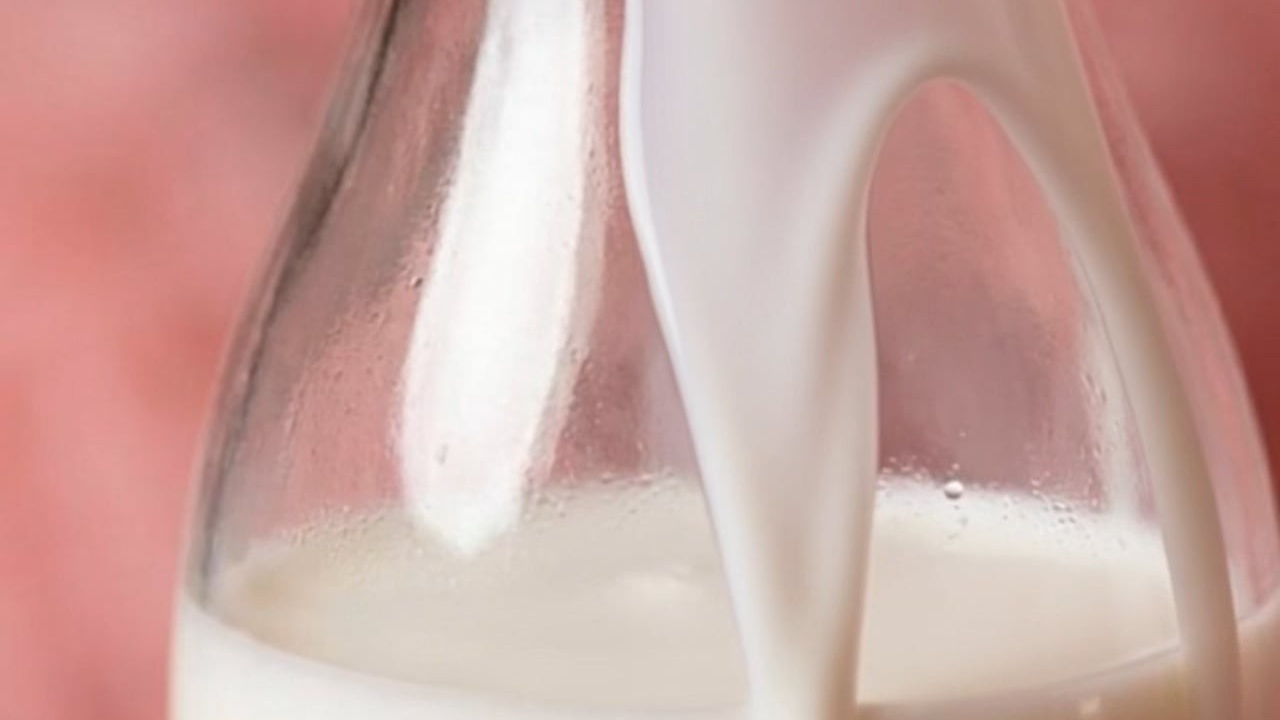 Видео. Katrin — AI-съемки и креативные ролики для брендов