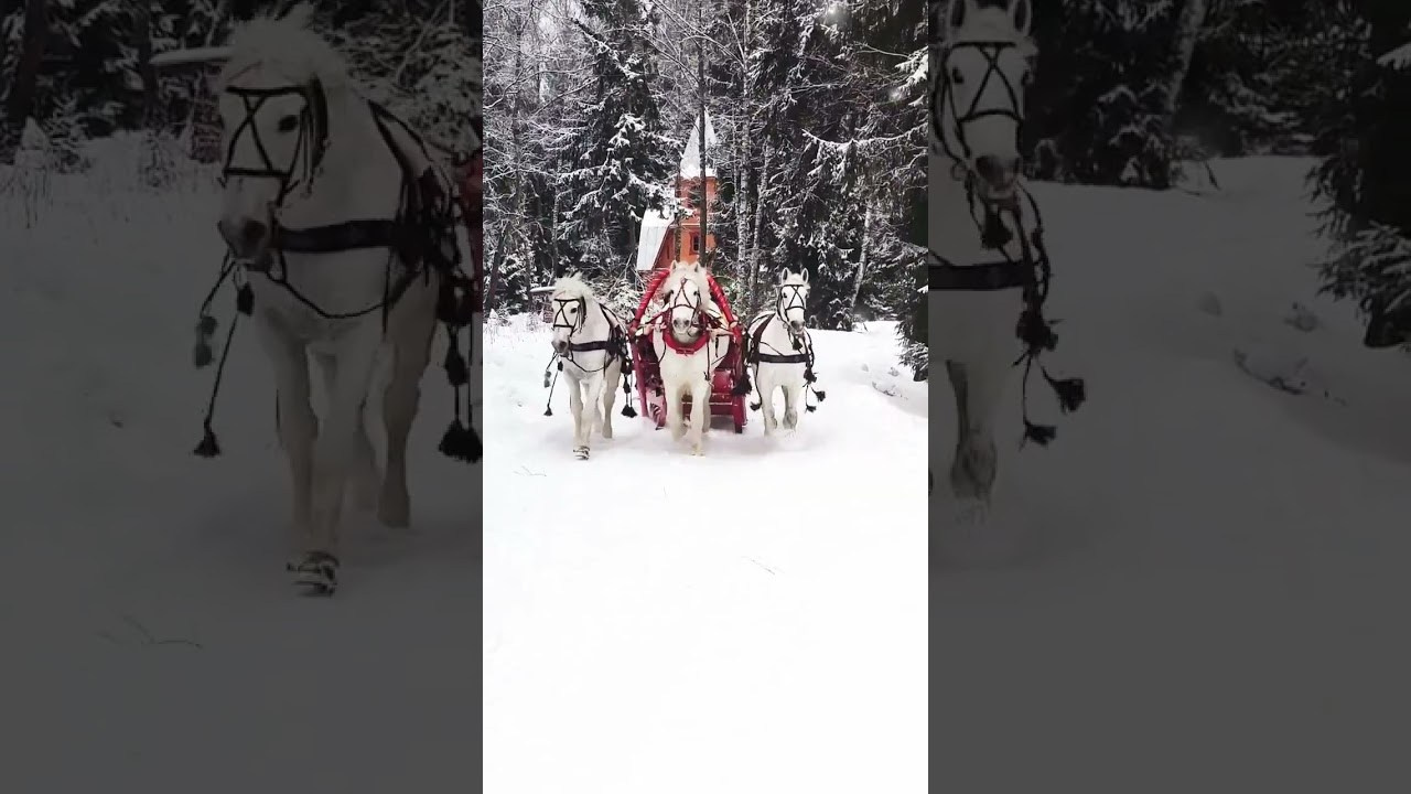 Видеоролики/рилсы. Детский и семейный фотограф в Москве Юлия Стукалова
