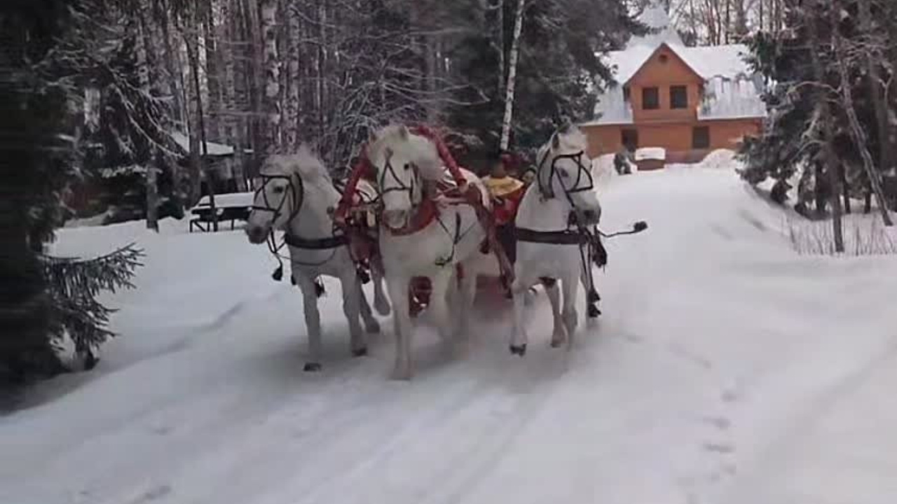 Фотодни на русской тройке. Детский и семейный фотограф в Москве Юлия Стукалова