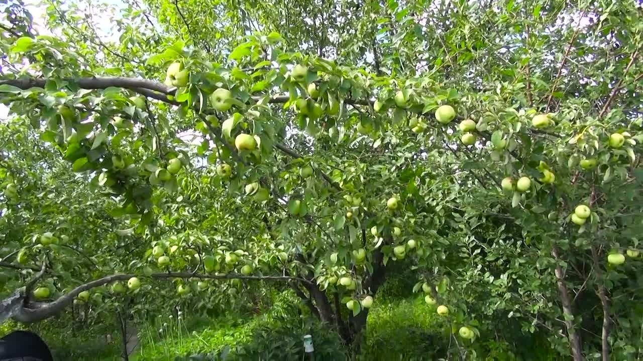 Я Родился. Клип о выписке из Роддома\С семьей. Выпускные фотокниги, фотосъемка, видеосъемка в Челябинске и области