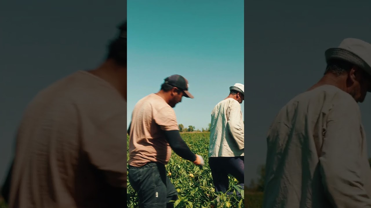 InDrive продукты. Видеограф и фотограф Алматы