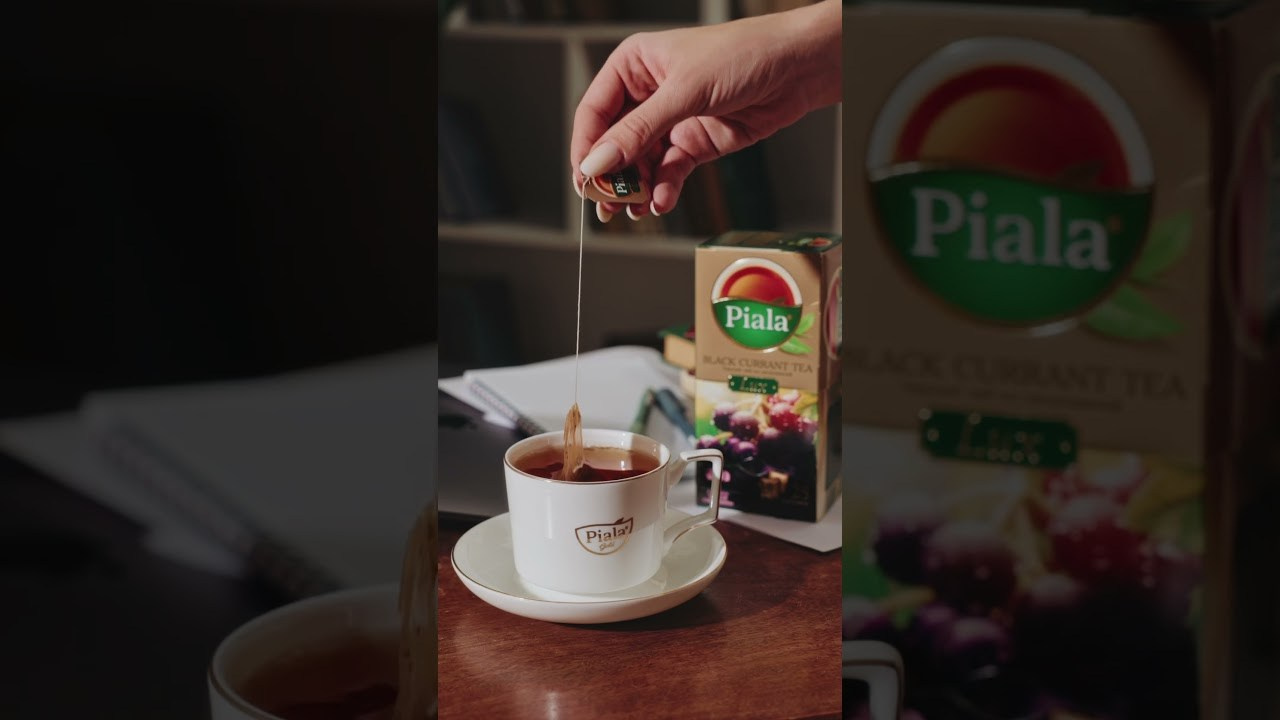 Piala. Видеограф и фотограф Алматы