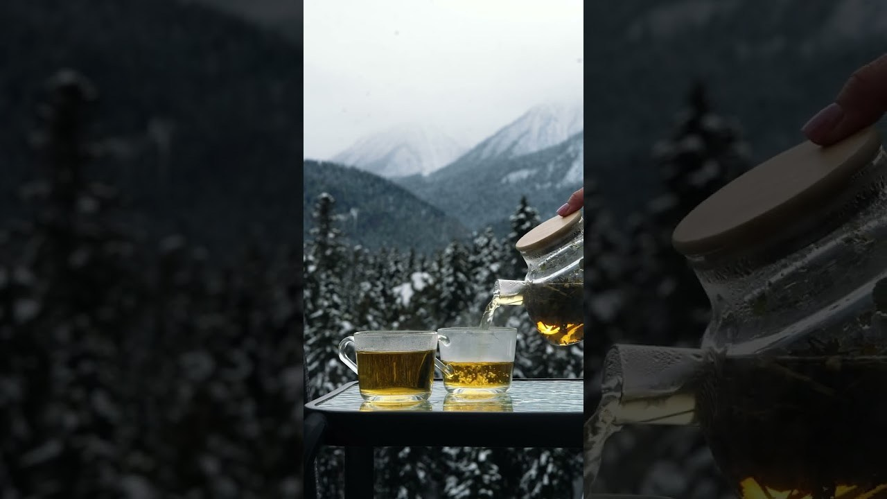 Sofia Shale. Фотограф и видеограф Елена Хмелевская