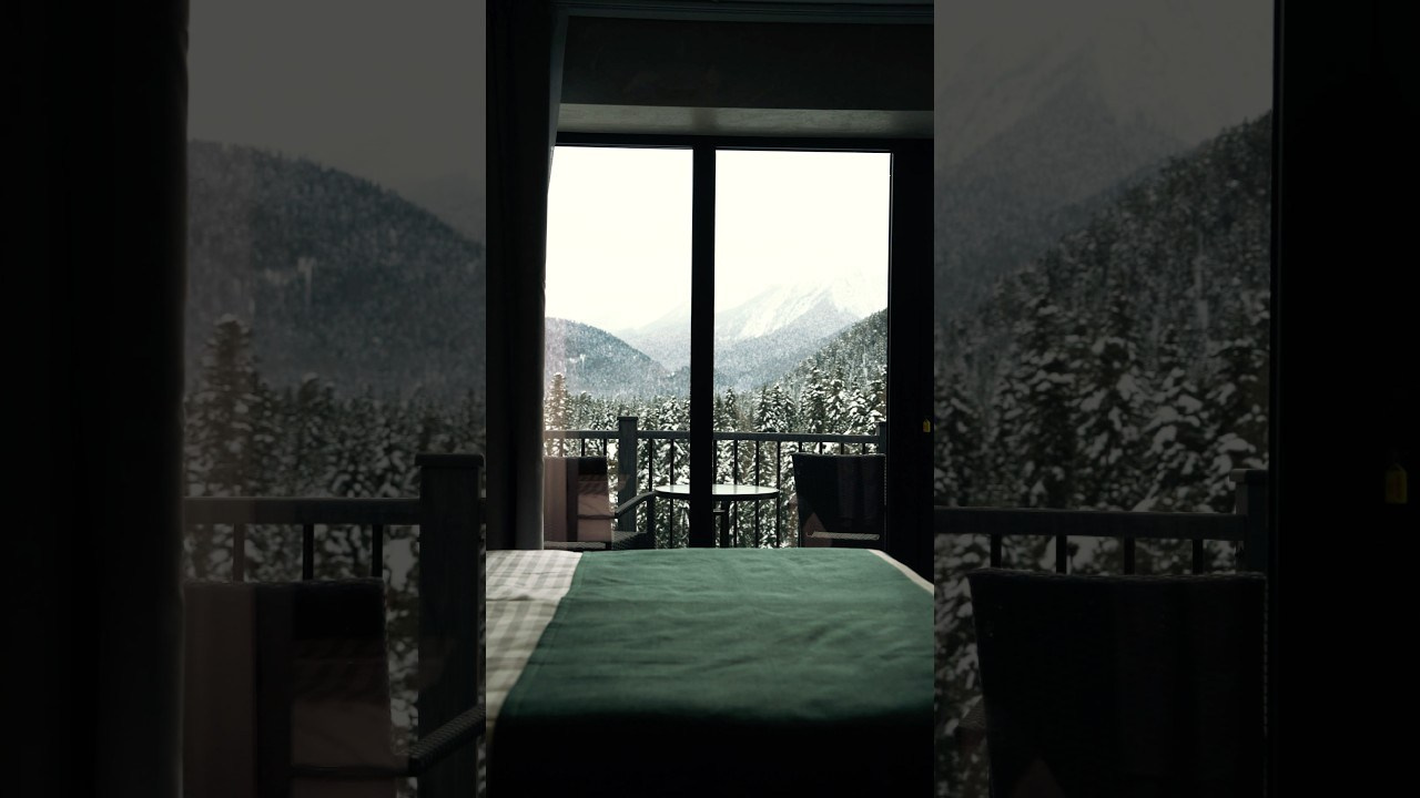 Sofia Shale. Фотограф и видеограф Елена Хмелевская