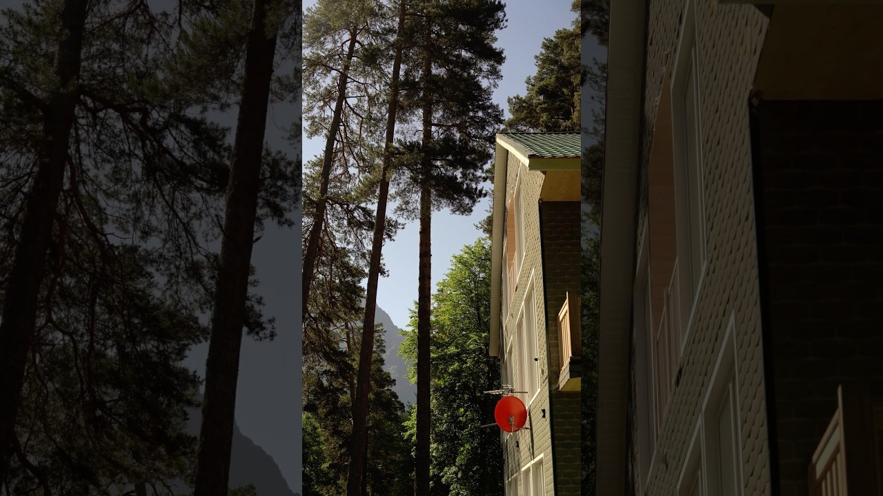 Green Park. Фотограф и видеограф Елена Хмелевская