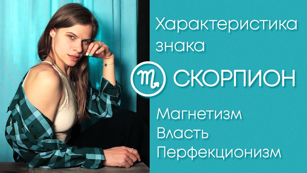 Клиенты. Видеограф Добромыслов