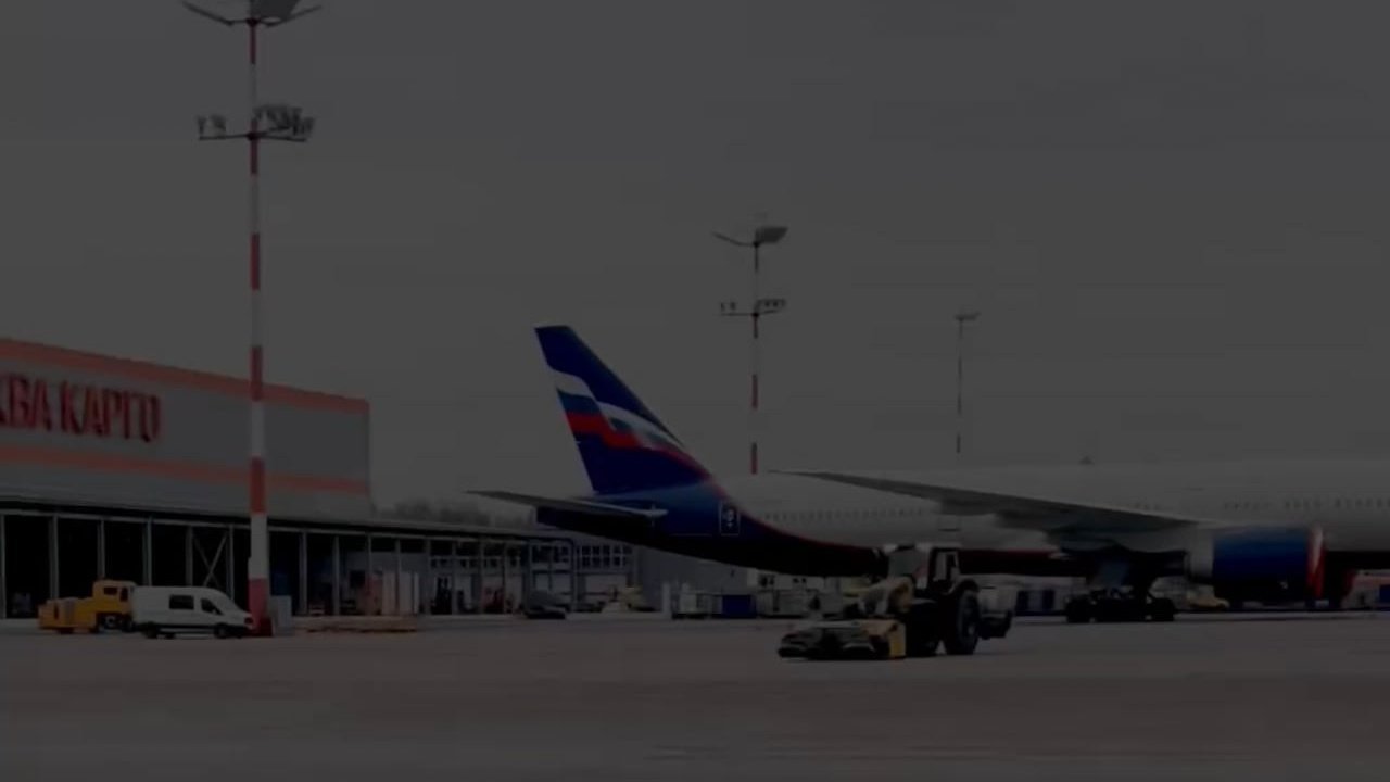 Обучение. Видеограф в Архангельске Елена Курбатова