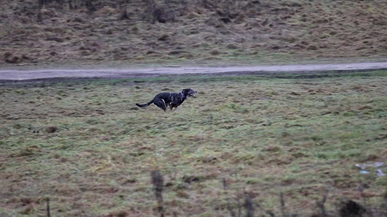 Lure Club декабрь 2025 (видео). Irenephoto.ru