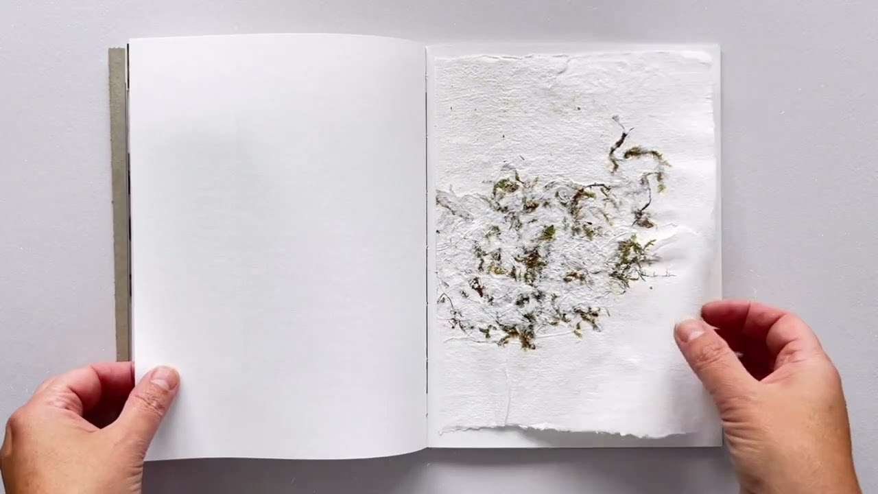 Зин «Про деревья, насекомых и людей». Natalya Madilyan