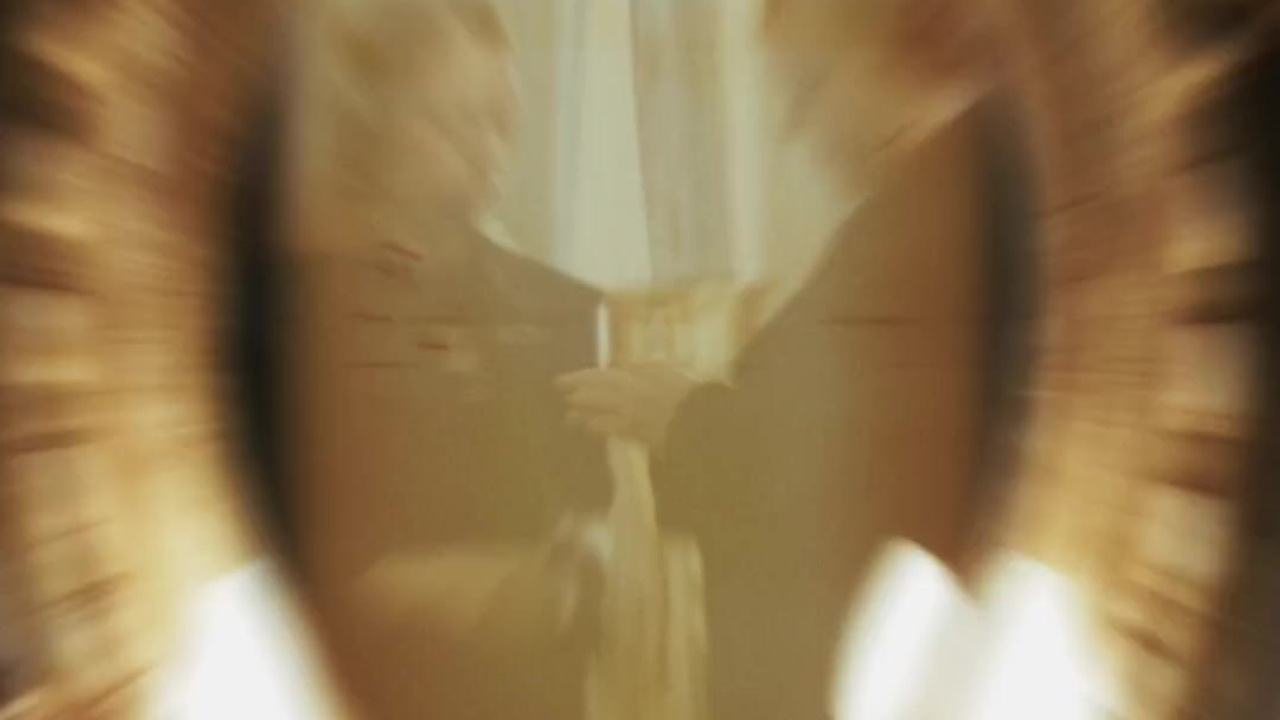 Reels. Свадебный видеограф | рилсмейкер | Санкт — Петербург