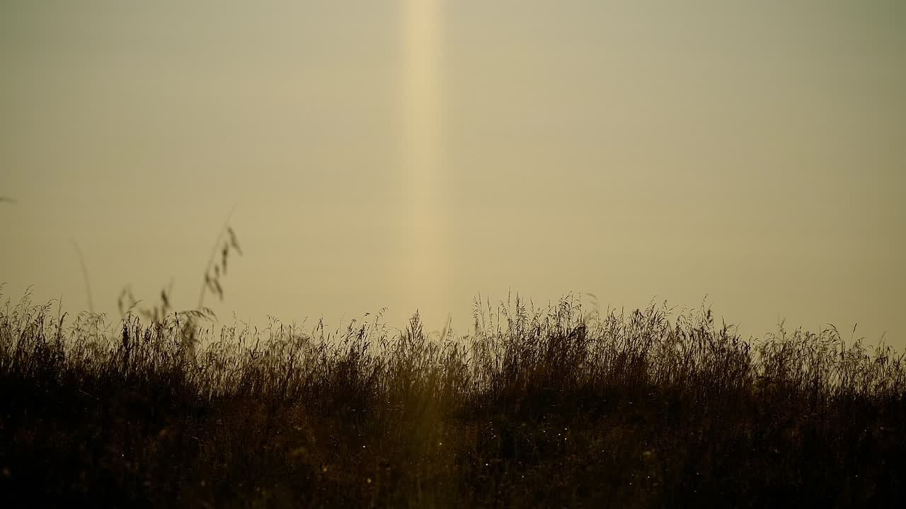 Разные Съемки. Свадебный видеограф | рилсмейкер | Санкт — Петербург